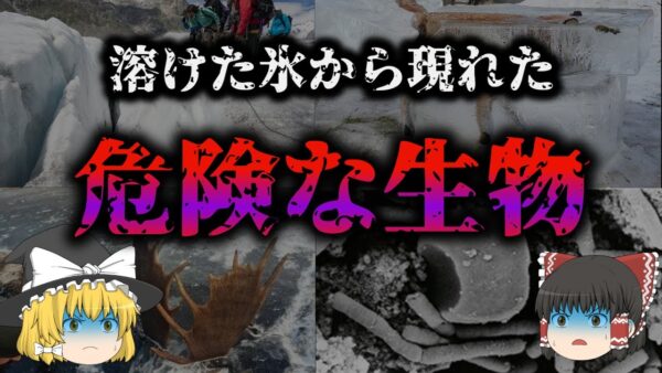 【ゆっくり解説】永久凍土から発見されたヤバい病原体