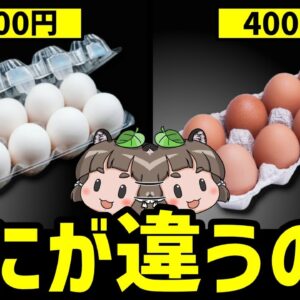 【疑問】安い卵と高い卵、値段の差で何が違うの？
