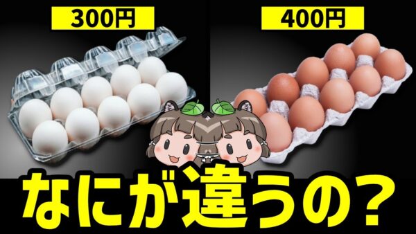 【疑問】安い卵と高い卵、値段の差で何が違うの？